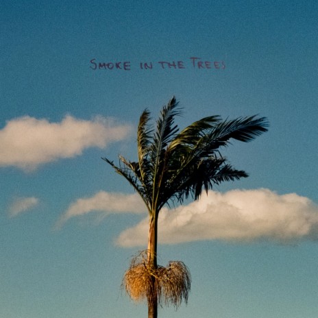 Smoke in the Trees | Boomplay Music