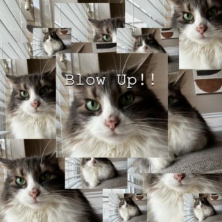 Blow up !!