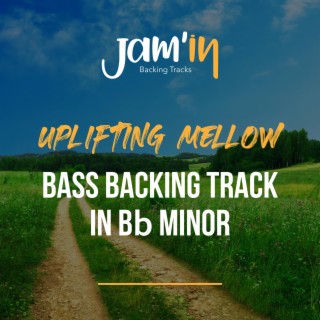 Uplifting Mellow Bass Backing Track in Bb Minor