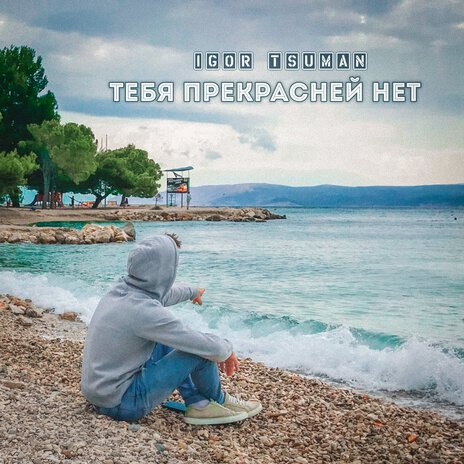 Тебя прекрасней нет | Boomplay Music