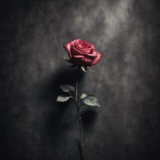 Withered Rose