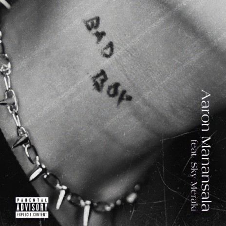 Bad Boy ft. Sky Meraki | Boomplay Music