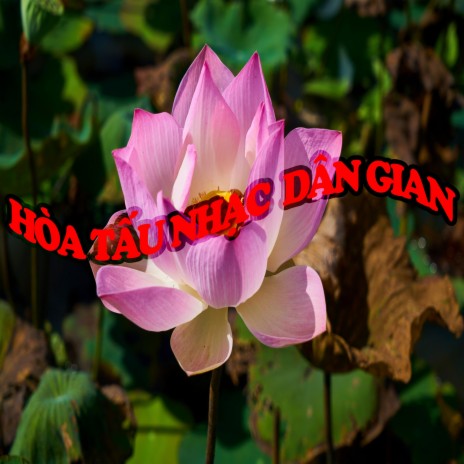 Hoa Tau Nhac Dan Gian | Boomplay Music