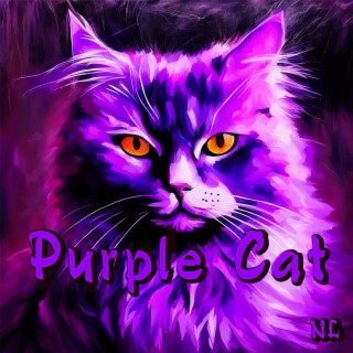 Purple Cat