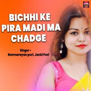 Bichhi Ke Pira Madi Ma Chadge