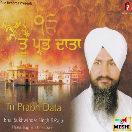 Tere Bharosey Pyare Main Laad Ladaye | Boomplay Music