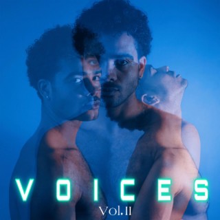 Voices, Vol. 2