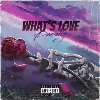 What's Love lyrics | Boomplay Music
