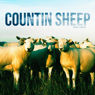 COUNTIN' SHEEP