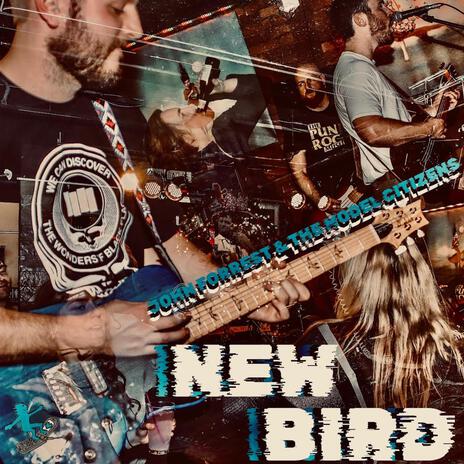 New Bird | Boomplay Music