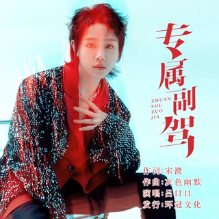 专属副驾 (其他) lyrics | Boomplay Music