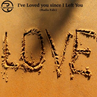 I've Loved You Since I Left You (Radio Edit)