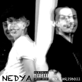 Nedya