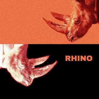 RHINO