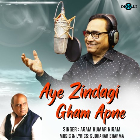 Aye Zindagi Gham Apne | Boomplay Music