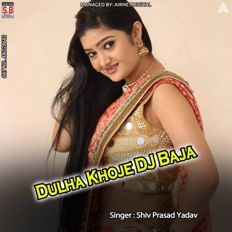 Dulha Khoje DJ Baja ft. Shri Devi Yadav | Boomplay Music