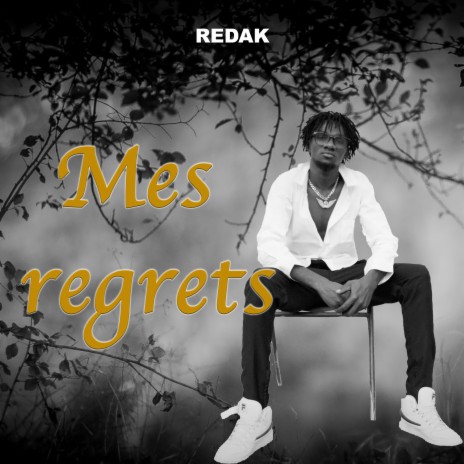 Mes regrets | Boomplay Music