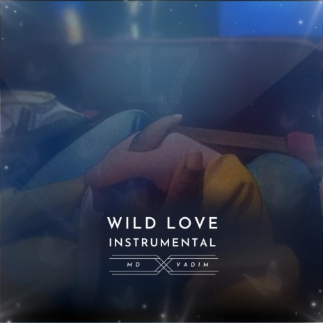 Wild Love (Instrumental) | Boomplay Music