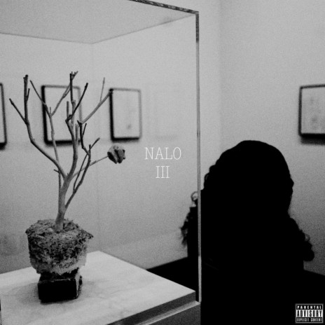 Nalo III