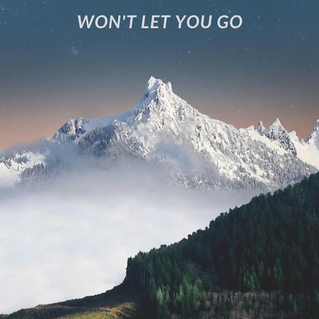 Won't Let You Go | Boomplay Music