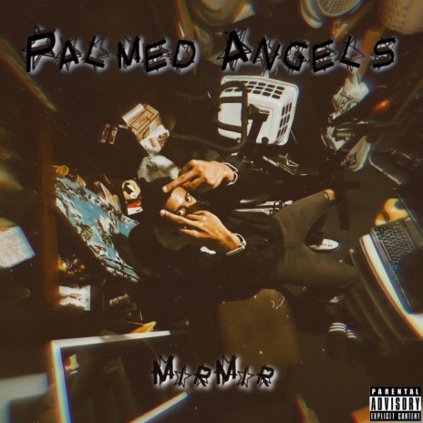 Palmed Angels | Boomplay Music
