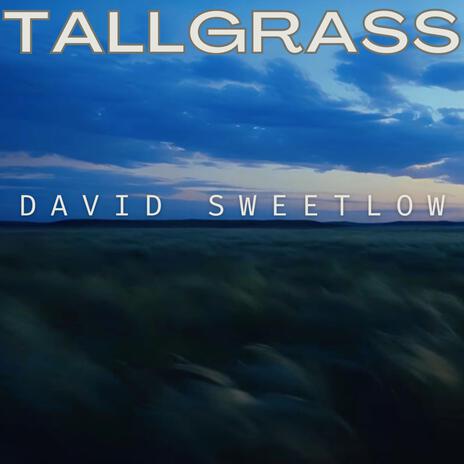 Tall Grass | Boomplay Music