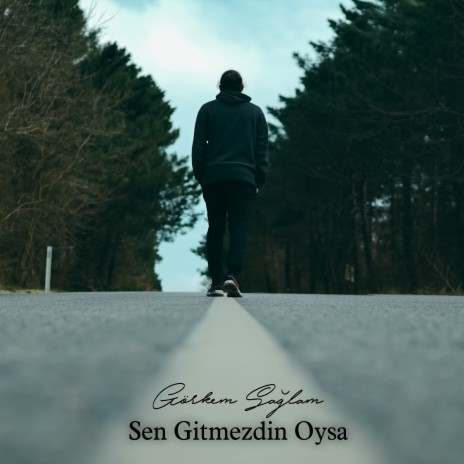 Sen Gitmezdin Oysa | Boomplay Music