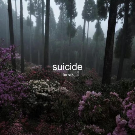 suicide | Boomplay Music