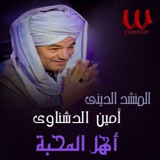 Ameen El Deshnawy