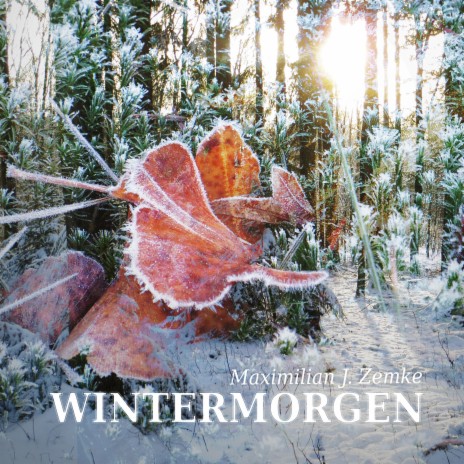 Wintermorgen | Boomplay Music