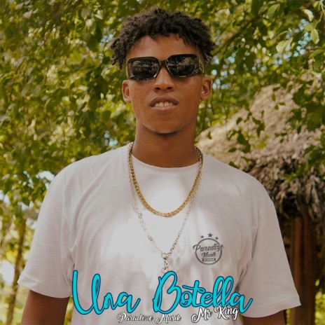 Una Botella ft. Paradize Musik | Boomplay Music