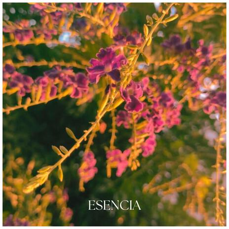 Esencia | Boomplay Music