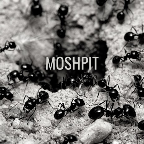 Moshpit | Boomplay Music