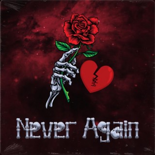 Never Again