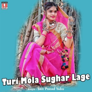 Turi Mola Sughar Lage