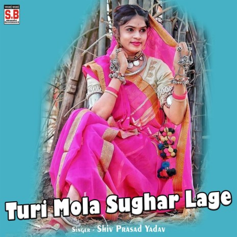 Turi Mola Sughar Lage ft. Devi Yadav | Boomplay Music