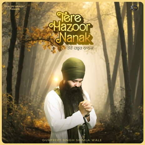 Tere Hazoor Nanak | Boomplay Music