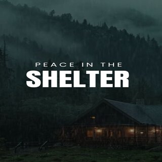 Peace in the Shelter