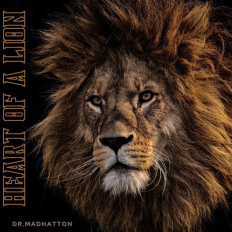 Heart of a Lion | Boomplay Music