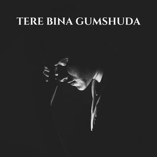 Tere Bina Gumshuda