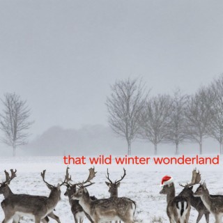 That Wild Winter Wonderland