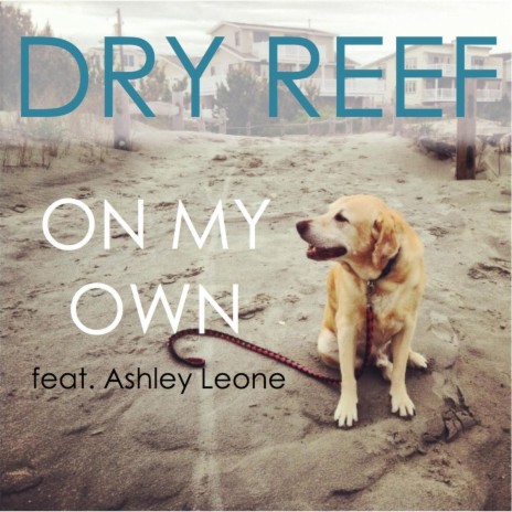 On My Own (feat. Ashley Leone) | Boomplay Music