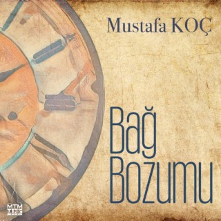 Bağ Bozumu