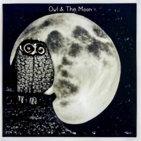 Owl & The Moon