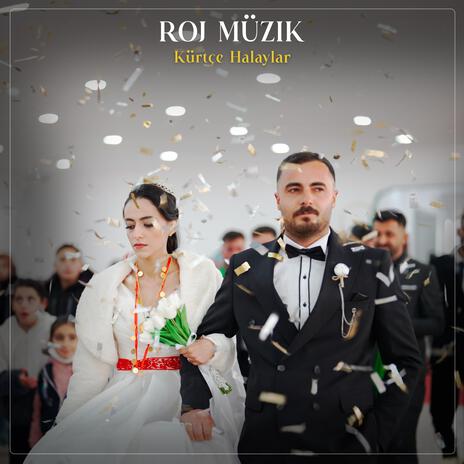 Roj Muzik Halay Potpori