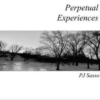 Perpetual Experiences