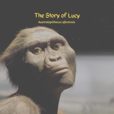 The Story of Lucy | Boomplay Music