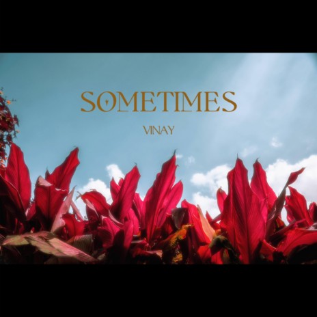 Sometimes | Boomplay Music