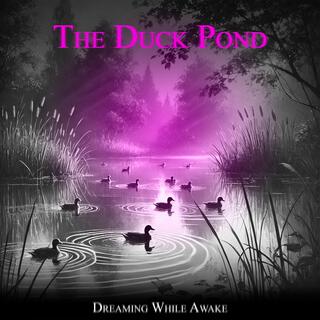 The Duck Pond