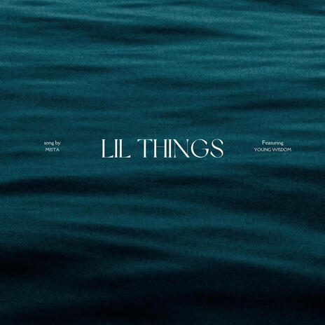 Lil Things ft. Young Wisdom | Boomplay Music